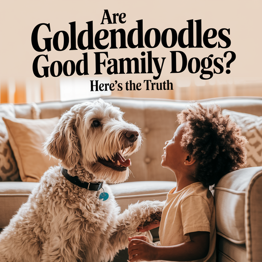 Are Goldendoodles Good Family Dogs? Here’s the Truth