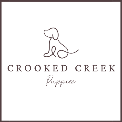 Crooked Creek Puppies